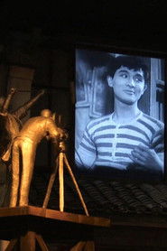 Electric Shadows: Journeys in Image-making