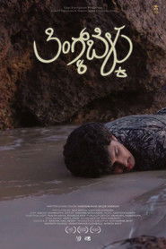 The Light for the Rest of the Walk