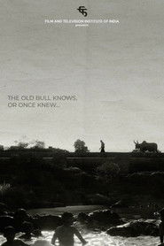 The Old Bull knows, or Once Knew