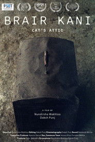 Cat’s Attic