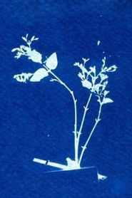 Sleepwalker Archives