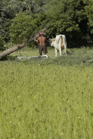 Where I Can’t Be Found