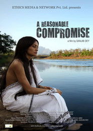 A Reasonable Compromise