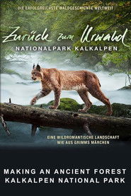 Making An Ancient Forest – Kalkalpen National Park