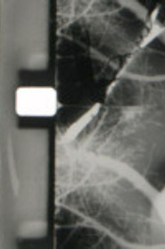 18 (+2) Blinks of an eye