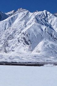 In The Forest One Thing Can Look Like Another